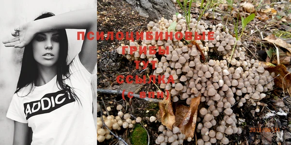 скорость Инта