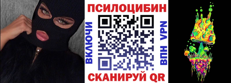 Псилоцибиновые грибы Cubensis что такое дарк нет наркотические препараты Камызяк