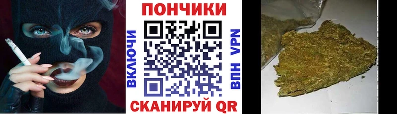 цены наркотик  Камызяк  Канабис гибрид 